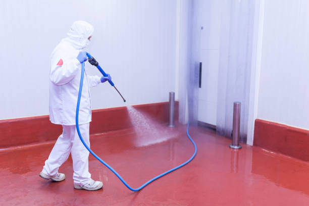 Best Rust Removal  in Whitinsville, MA